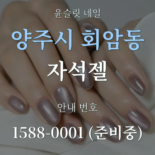 양주시 회암동 자석젤 대표 안내 그래픽