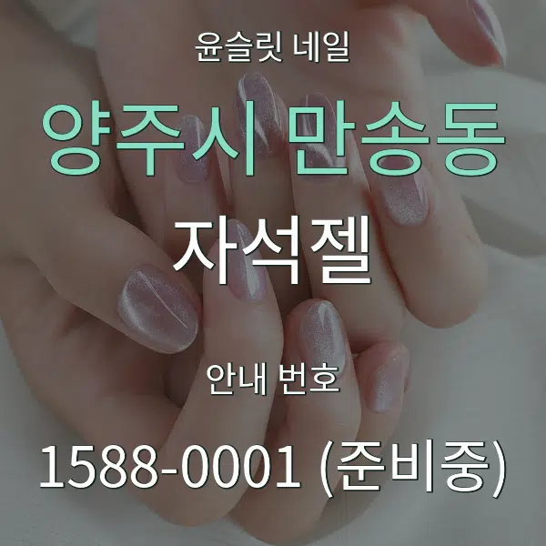 양주시 만송동 자석젤 대표 안내 그래픽