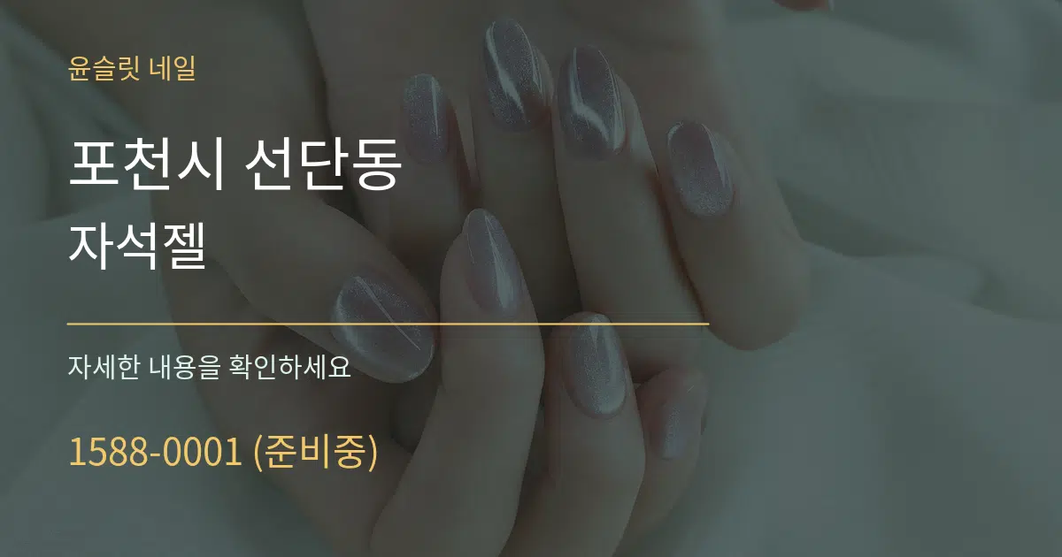 포천시 선단동 자석젤 서비스 이용 안내 그래픽