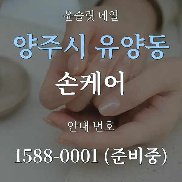 양주시 유양동 손케어 대표 안내 그래픽