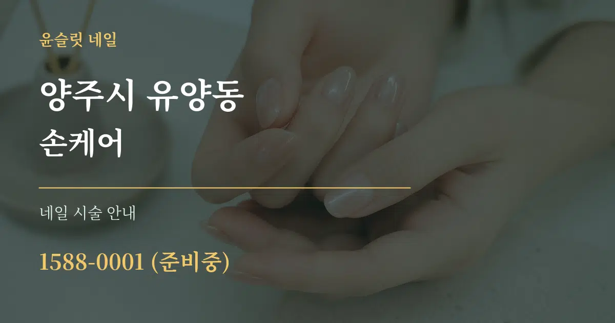 양주시 유양동 손케어 대표 안내 그래픽