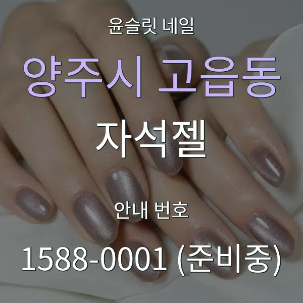 양주시 고읍동 자석젤 대표 안내 그래픽