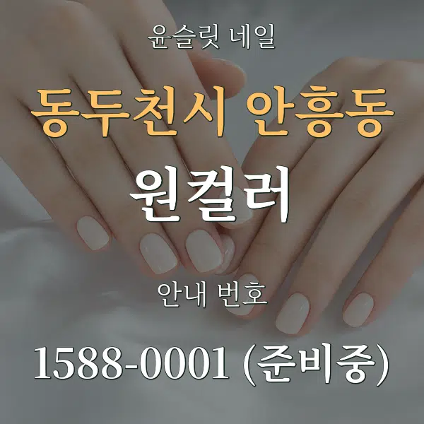 동두천시 안흥동 원컬러 대표 안내 그래픽