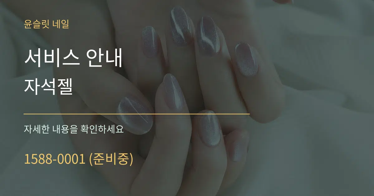 서비스 안내 자석젤 서비스 이용 안내 그래픽