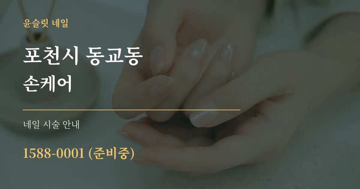 포천시 동교동 손케어 대표 안내 그래픽