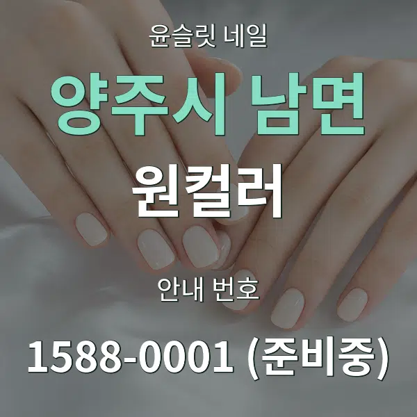 양주시 남면 원컬러 대표 안내 그래픽