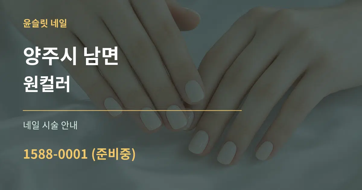 양주시 남면 원컬러 대표 안내 그래픽