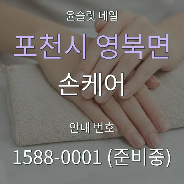 포천시 영북면 손케어 대표 안내 그래픽