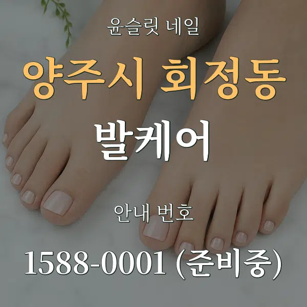 양주시 회정동 발케어 대표 안내 그래픽
