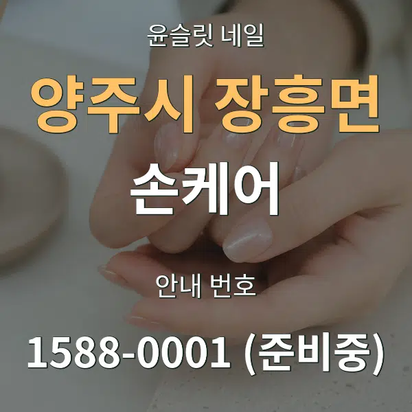 양주시 장흥면 손케어 대표 안내 그래픽