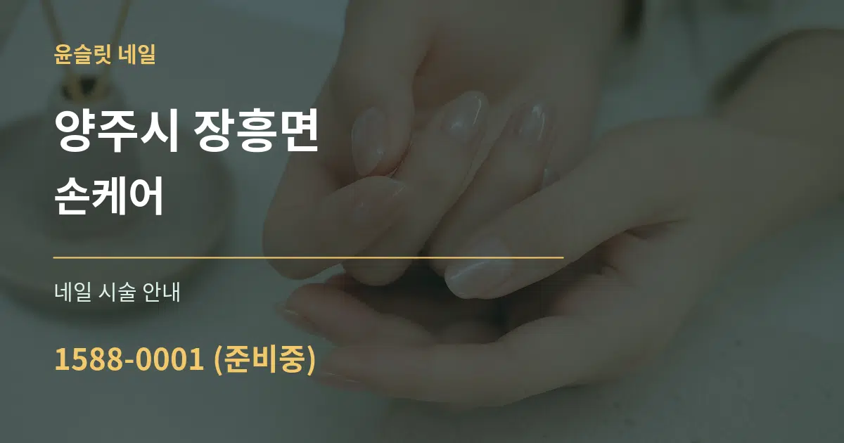양주시 장흥면 손케어 대표 안내 그래픽