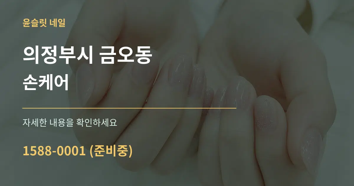 의정부시 금오동 손케어 서비스 이용 안내 그래픽