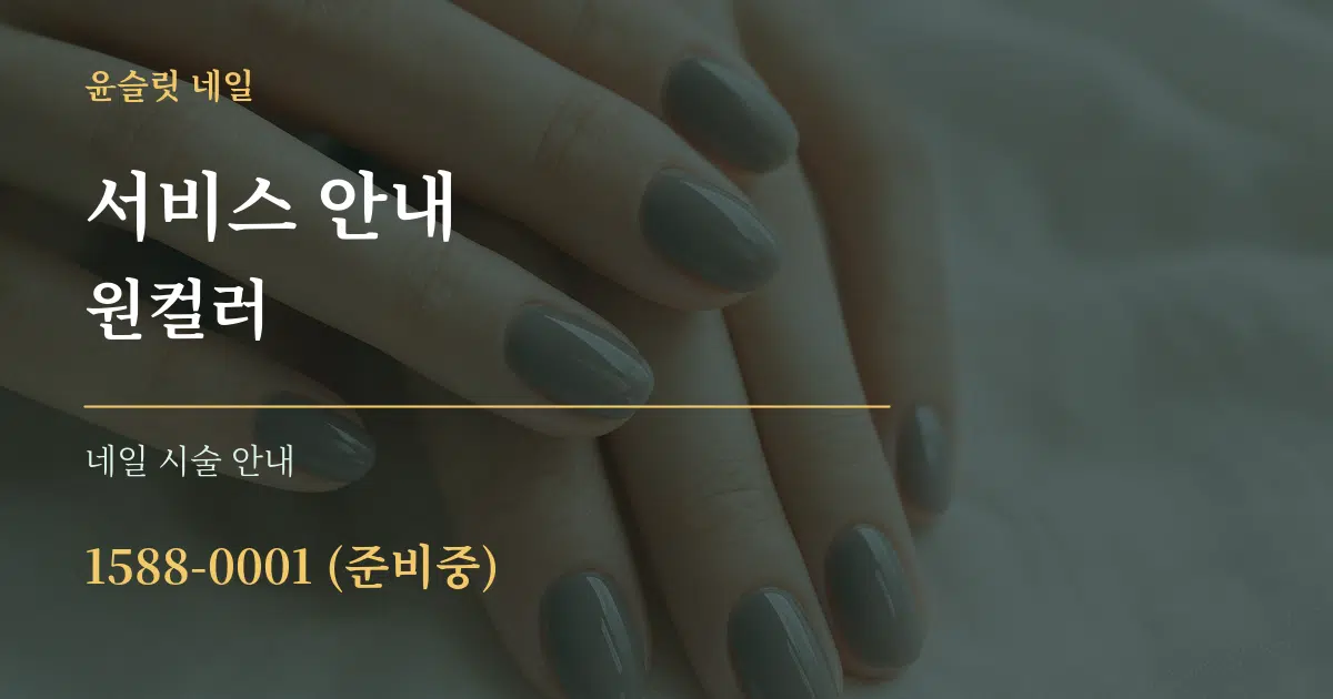 서비스 안내 원컬러 대표 안내 그래픽