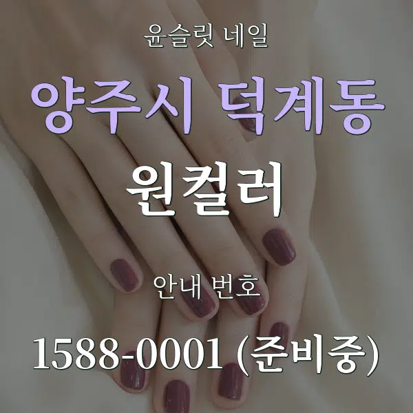 양주시 덕계동 원컬러 대표 안내 그래픽
