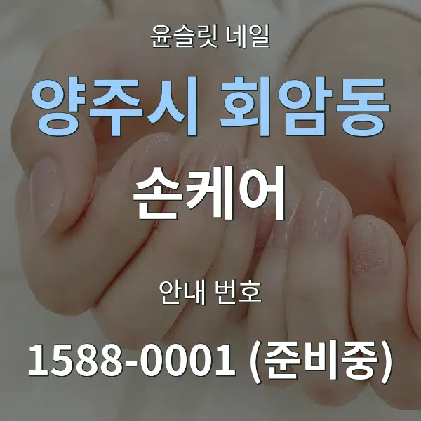 양주시 회암동 손케어 대표 안내 그래픽