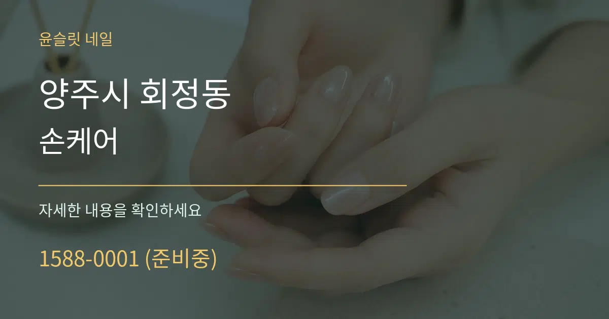 양주시 회정동 손케어 서비스 이용 안내 그래픽