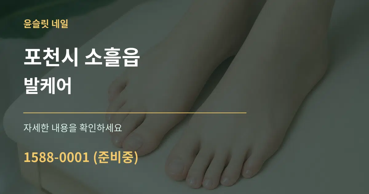포천시 소흘읍 발케어 서비스 이용 안내 그래픽