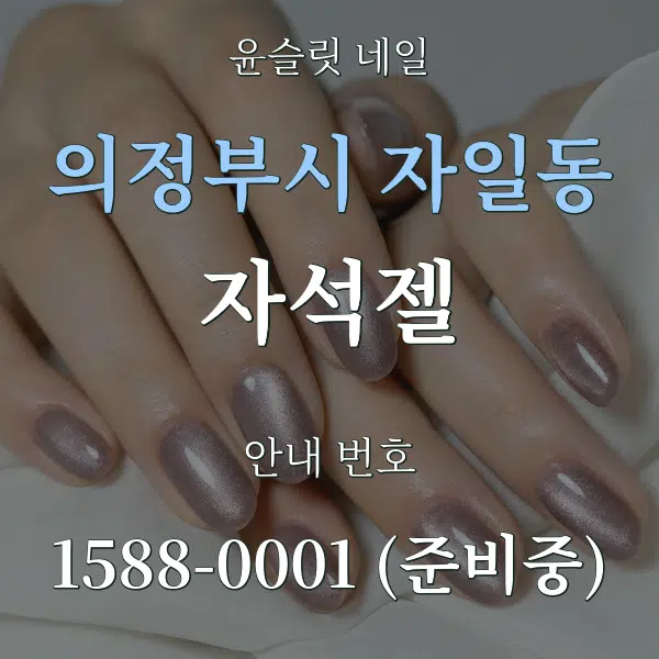 의정부시 자일동 자석젤 대표 안내 그래픽