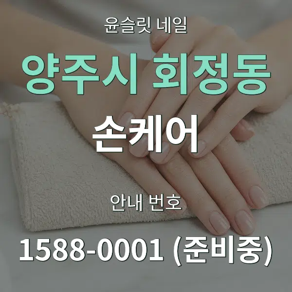 양주시 회정동 손케어 대표 안내 그래픽