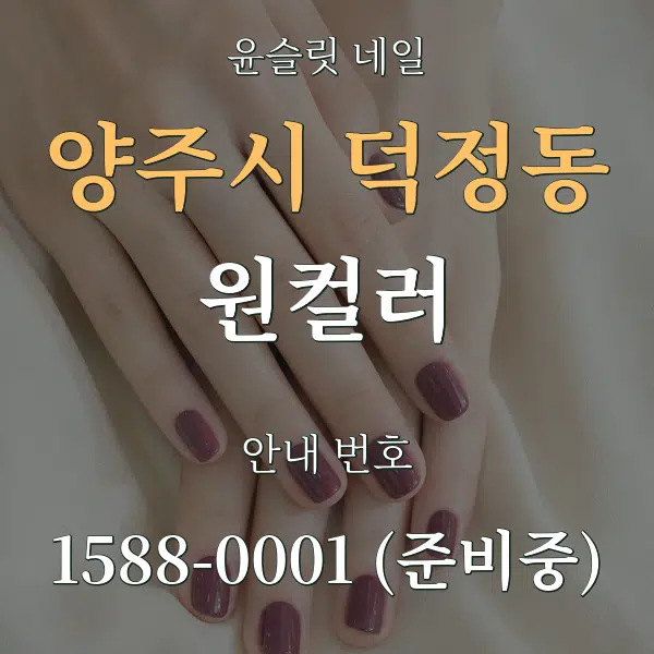 양주시 덕정동 원컬러 대표 안내 그래픽