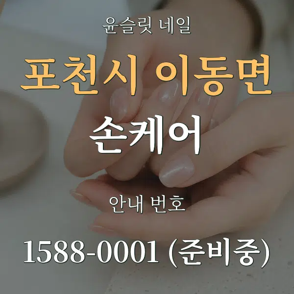 포천시 이동면 손케어 대표 안내 그래픽