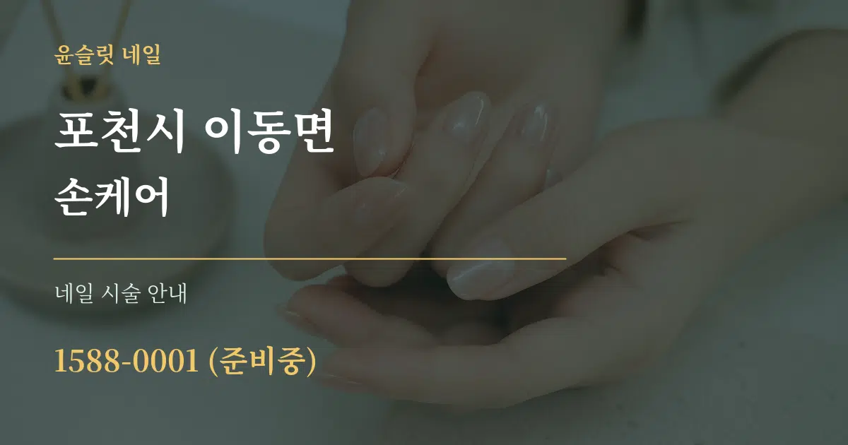 포천시 이동면 손케어 대표 안내 그래픽